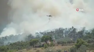 Yunanistan'da orman yangını ! Son Dakika