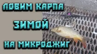 Ловим карпа зимой на микроджиг