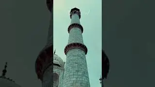 Taj Mahal | India #shorts #ytshorts #youtubeshorts #reels #tajmahal #youtube #short