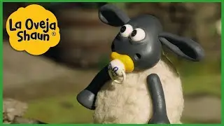 La Oveja Shaun 🐑 Temporada 3 Cada Episodio Épico 🐑 Dibujos animados para niños 🐑