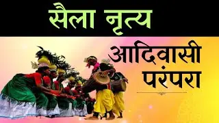 सैला नृत्य आदिवासी  देखे || Tribal Dance Video lifestyle tribal saila dance
