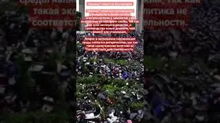 "Зеленая" повестка без прикрас