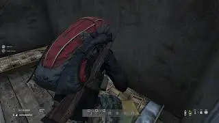 двое новичков и Dayz