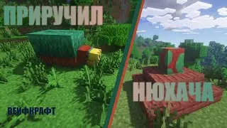 КАК Я ЗАВЕЛ СЕБЕ НЮХАЧА\WAFICRAFT