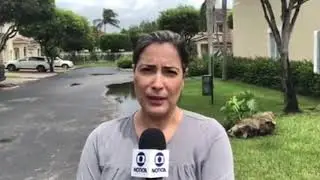 Boletim Globo Notícia Américas - Furacão Dorian - Setembro 2019
