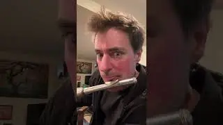 Beatbox Bach Badinerie in the Basement - Greg Pattillo