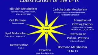 Liver Function Tests,