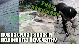 Пытаюсь обустроить двор! Крашу гараж и ложу брусчатку. Играю с собаками