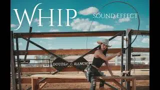 WHIP SOUND EFFECT