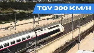 TGVs BLASTING Through at 300 km/h! Trainspotting at Valence TGV Rhône-Alpes Sud 