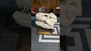 Tyrannosaurus Rex Dino Skull!! 3D Printed!!
