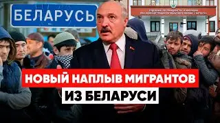 ПОТОК МИГРАНТОВ НАБИРАЕТ ОБОРОТЫ. Огромные очереди на границе. Пожар в колледже Орши