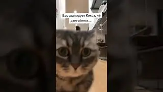 одобрено 