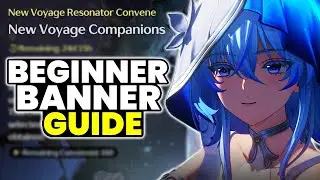 Who Should You Pull In The BEGINNER BANNER? | Wuthering Waves Wishing & Banners Explained