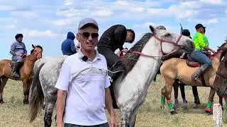 Өміржан әкеміздің 70 жас мерейтойы. Байдалы би ауылы. Жаппай көкпар