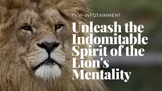 Unleash the Indomitable Spirit of the Lion's Mentality