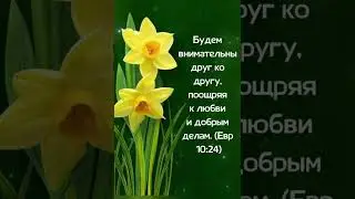 Благословенного дня в Божьей милости! Христианское пожелание!Христианское пожелание!
