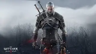 Проходим и общаемся// The Witcher 3: Wild Hunt