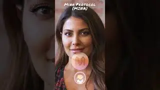 Crypto Web 3 KAVA Mina Protocol Serum Secret Network