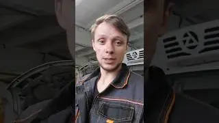 Газель Некст как избавиться от шума выжимного подшипника 