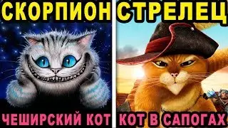 КАКОЙ ТЫ СКАЗОЧНЫЙ КОТИК ПО ЗНАКУ ЗОДИАКА. Какая ты Кошка по Знаку Зодиака