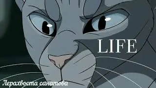 || Коты воители ||~клип ~{Monster - Gumi}