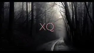 XQ Free Stayla
