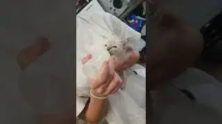 Наши мимимишные приемные детишки))) Скажите, как таких можно выбрасывать на улицу??????