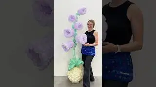 Balloon flower 