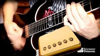 НАДЕЛ! №48 - Seymour Duncan 59/Custom Hybrid (TB-16)