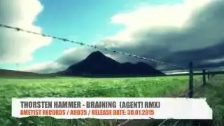 THORSTEN HAMMER - BRAINING (AGENT! RMX)