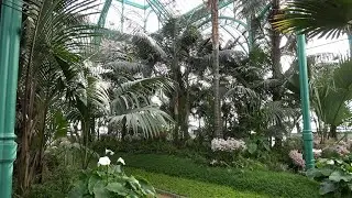 The Royal Greenhouses of Laeken: Congo Greenhouse