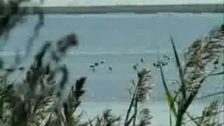 Курортный город Приморско-Ахтарск