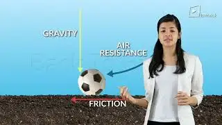 3  Newton's Law of Motion