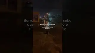 #fyp