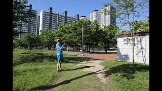 Приехал в Южную Корею на 2 месяца, но уже хочу остаться навсегда!