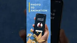social media post, photo animator, lottie animation