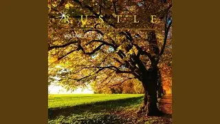 A Beautiful Dream