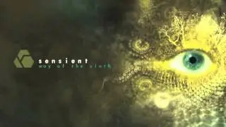 Sensient - Galaxians