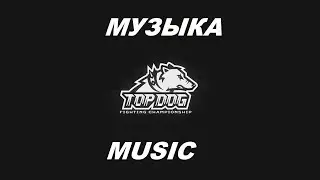 КРУТАЯ МУЗЫКА TOP DOG #2 / ВАЛЕРА УШУ МАСТЕР / ЧОРШАНБЕ СИВЫЙ / ОЛИВИО МЕЛЬНИК / СУШИСТ ЭМИН ШИН