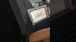 Чтобы обучение было эффективным, я детально проверяю каждое домашнее задание