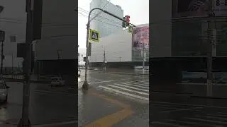 Воскресный Волгоград.