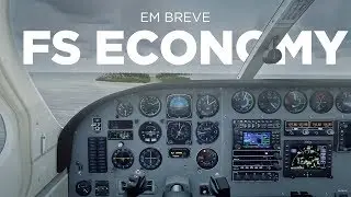 Teaser FS Economy