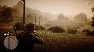 Perfect Shot! RDR2 Payback!