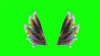 Feather Wings Green Screen Video