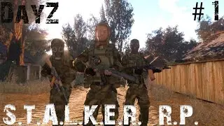 STALKER: Area of Decay на платформе DayZ RP Standalone (#1)