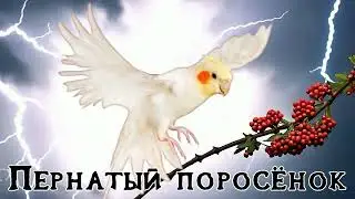 Suno - Пернатый поросёнок (v.3)