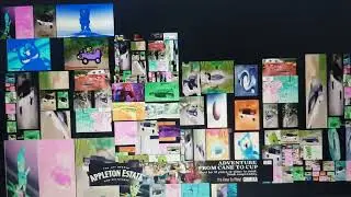 The Gummy Bear Song on Live Stream on Shane Kazymyriw & Ambreen Begum in 22 June 2022