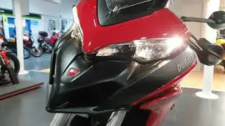 Ducati - Multistrada 950 Walk Around