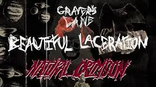 Graver's Lane - Beautiful Laceration (Lyric Visualizer)